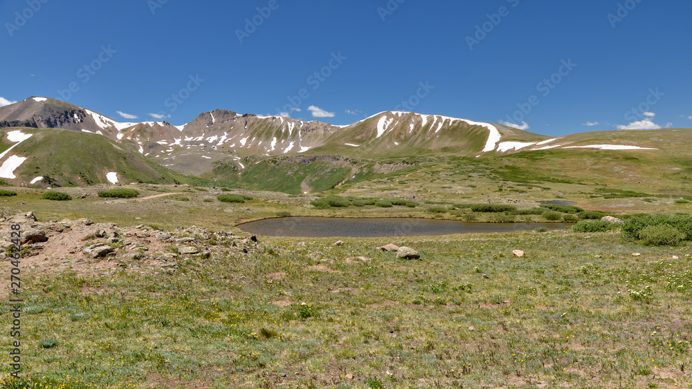 alpine tundra summer landscape at Independence Pass (Colorado, USA)