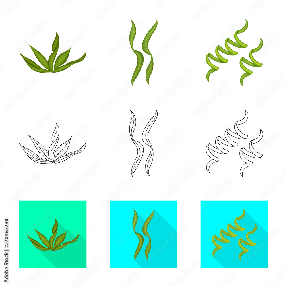 Obraz premium Vector illustration of protein and sea logo. Collection of protein and natural stock vector illustration.