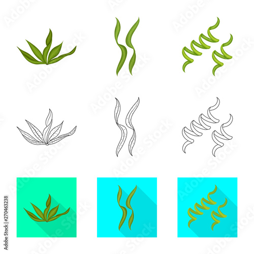 Vector illustration of protein and sea logo. Collection of protein and natural stock vector illustration.