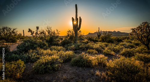Lost Dutchman Sunset