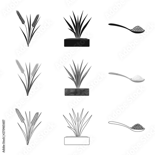 Isolated object of crop and ecological sign. Set of crop and cooking stock symbol for web.