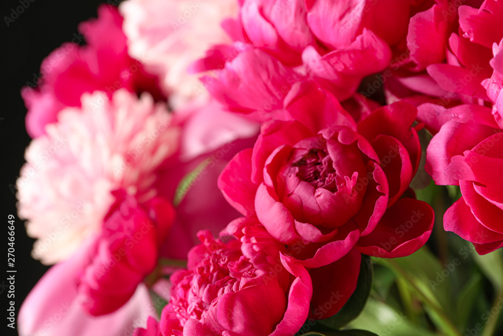 Bouquet of beautiful pink peonies against dark background, space for text Bouquet of beautiful pink peonies against dark background, space for text