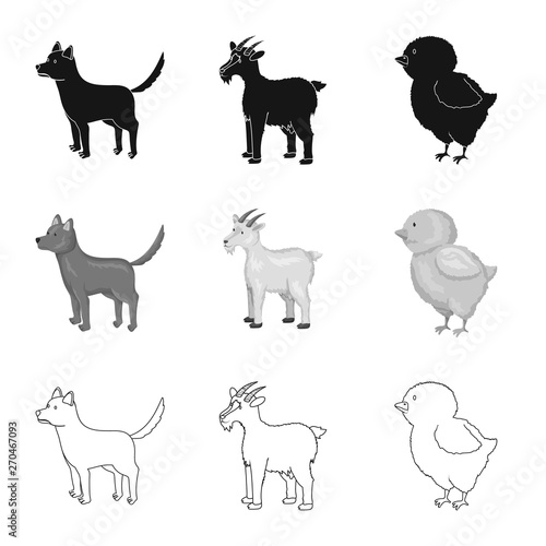 Vector design of breeding and kitchen  sign. Set of breeding and organic  vector icon for stock.