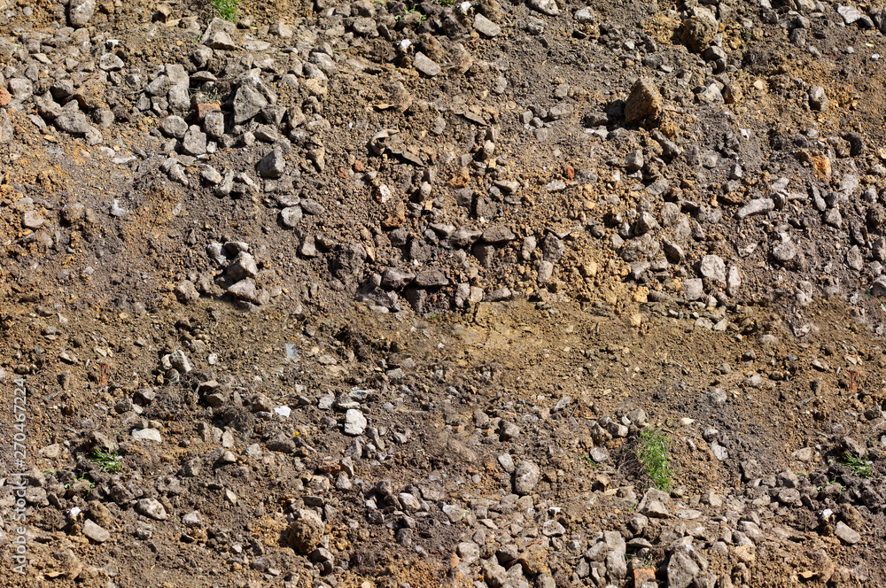 earth texture, top view, grass grows earth texture, top view, grass grows