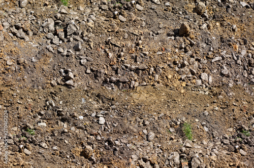 earth texture, top view, grass grows