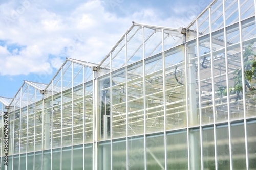 Transparent green house for growing organic vegetables. Big industrial greenhouse from glass panels on blue sky background. Cultivating agricultural plant. Agriculture glasshouse for growing plants.
