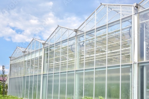 Big industrial greenhouse from glass panels on blue sky background. Agriculture glasshouse for growing plants. Transparent green house for growing organic vegetables. Cultivating agricultural plant