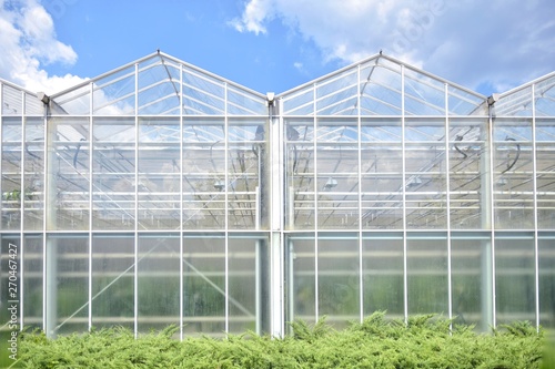 Big industrial greenhouse from glass panels on blue sky background. Agriculture glasshouse for growing plants. Transparent green house for growing organic vegetables. Cultivating agricultural plant