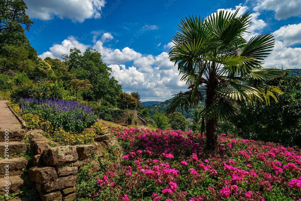 Blumenpracht in der Eichendorff-Anlage am Heidelberger Philosophenweg Blumenpracht in der Eichendorff-Anlage am Heidelberger Philosophenweg