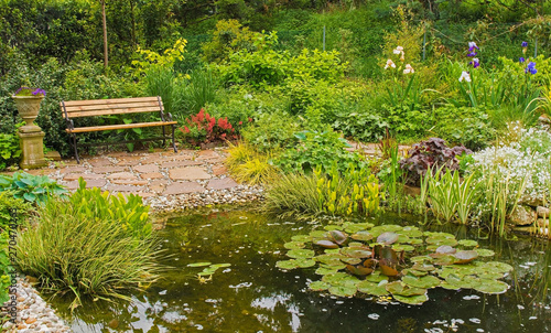 A pond in a north east Italian garden during the spring