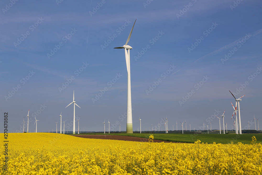 Wind engines in a rapeseed field in Germany Wind engines in a rapeseed field in Germany