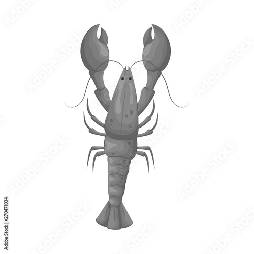 Vector illustration of crayfish  and lobster symbol. Set of crayfish  and boiled vector icon for stock.