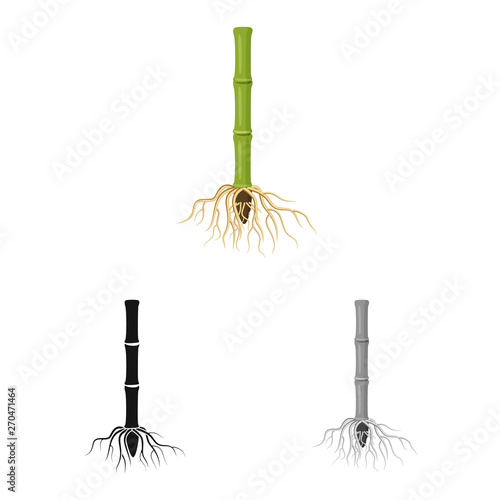 Isolated object of root and system symbol. Collection of root and sprout stock vector illustration.
