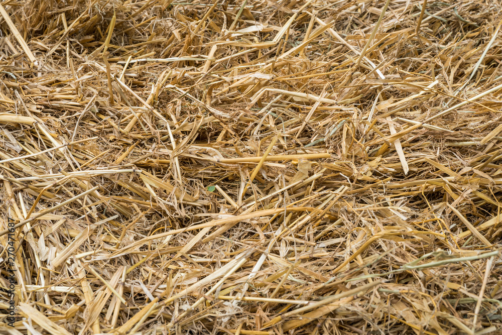 Harvesting hay. Feed for livestock. Haystack Harvesting hay. Feed for livestock. Haystack