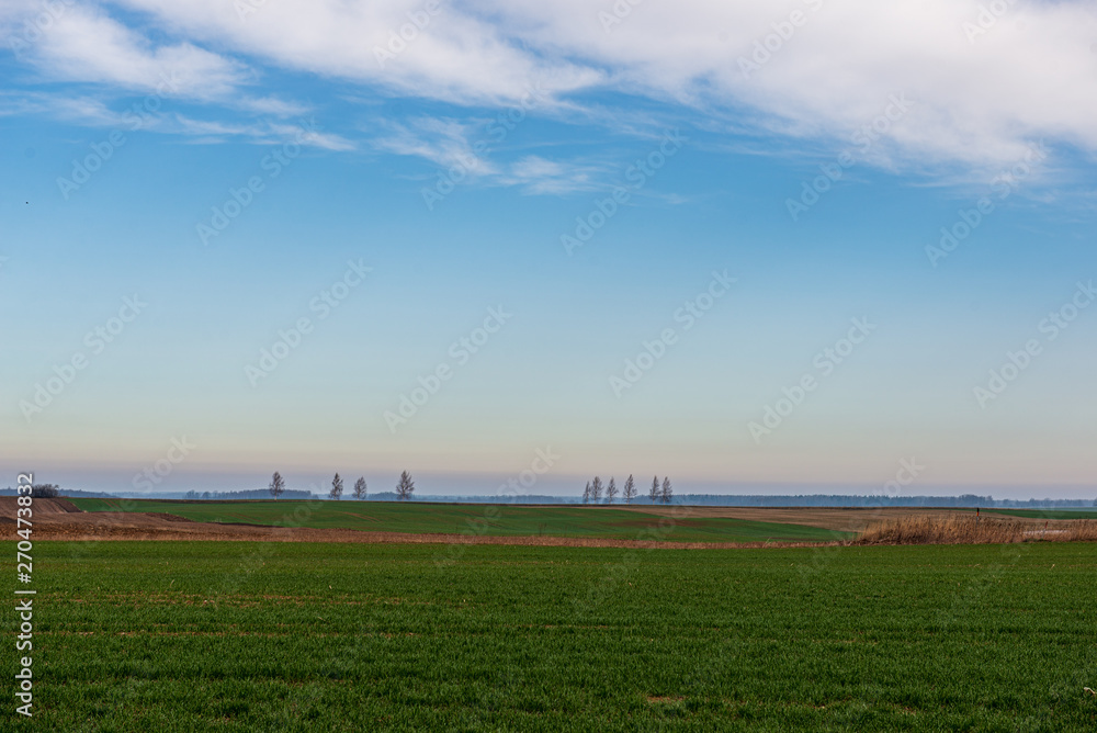 cultivated fields in countryside with dark and wet soil for agriculture. cultivated fields in countryside with dark and wet soil for agriculture.