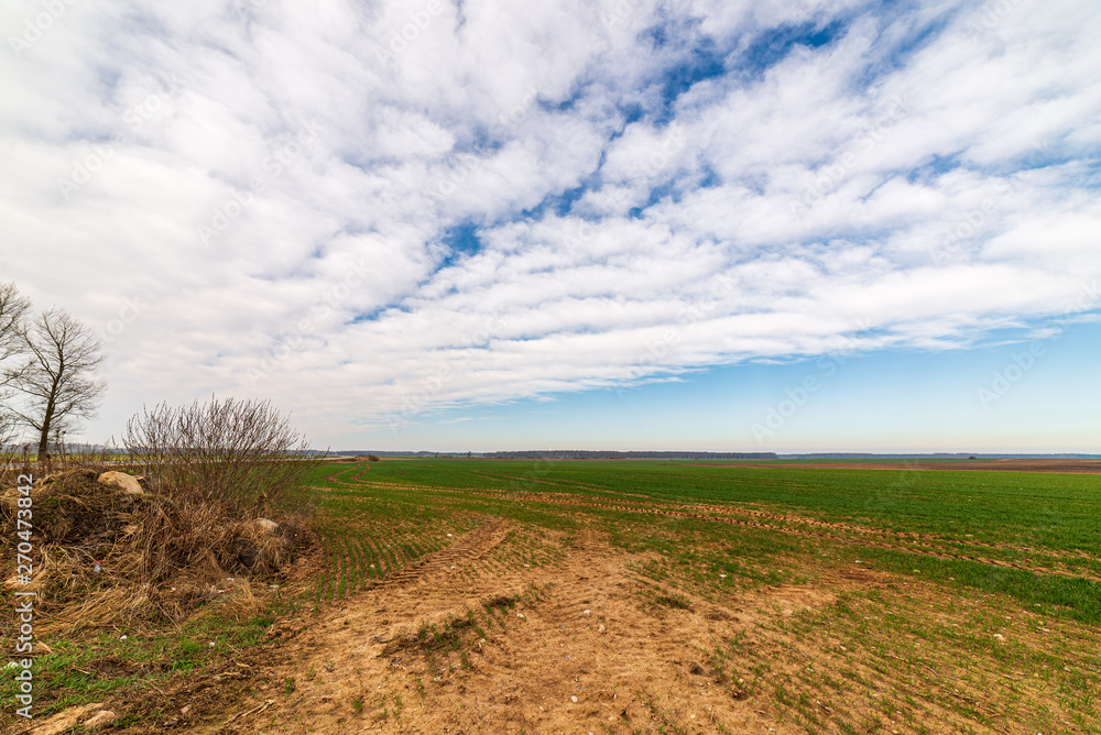 cultivated fields in countryside with dark and wet soil for agriculture. cultivated fields in countryside with dark and wet soil for agriculture.