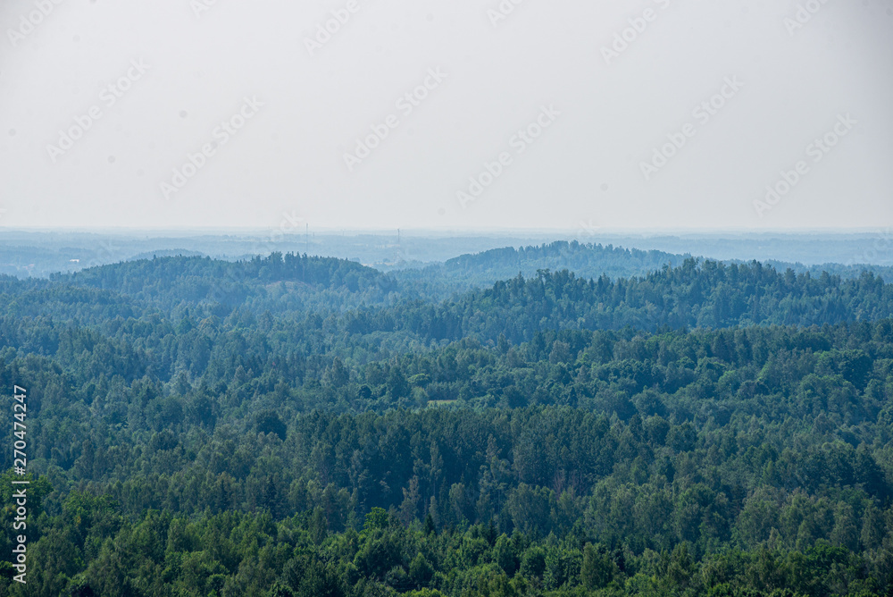 endless fields and forests with green trees under fog in countryside