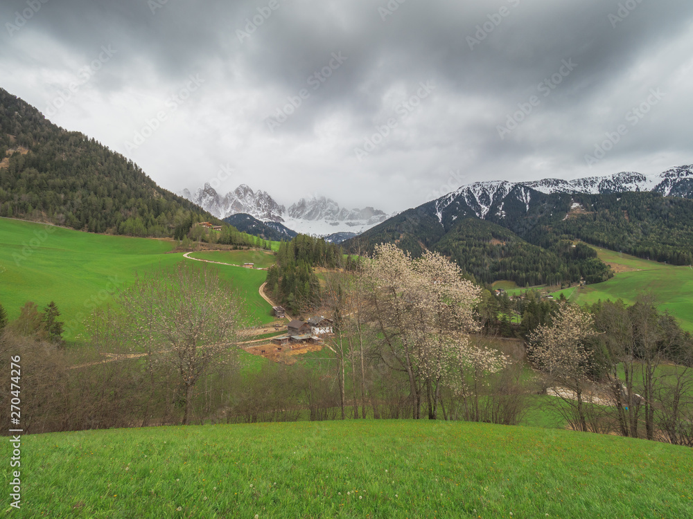 view of alpine valley with lots of vegetation with snowy mountains in the background on cloudy day
