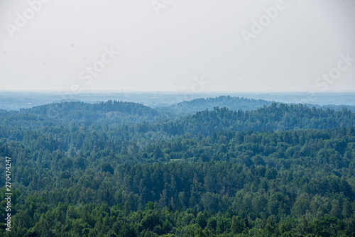 endless fields and forests with green trees under fog in countryside