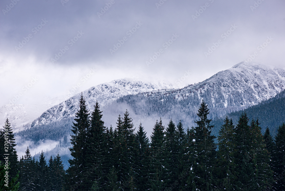Obraz premium slovakia tatra mountain tourist hiking trails under snow in winter time