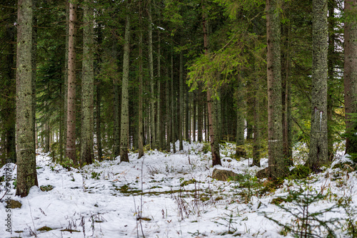 slovakia tatra mountain tourist hiking trails under snow in winter time