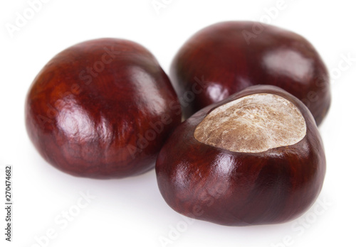 Fresh chestnut on white background