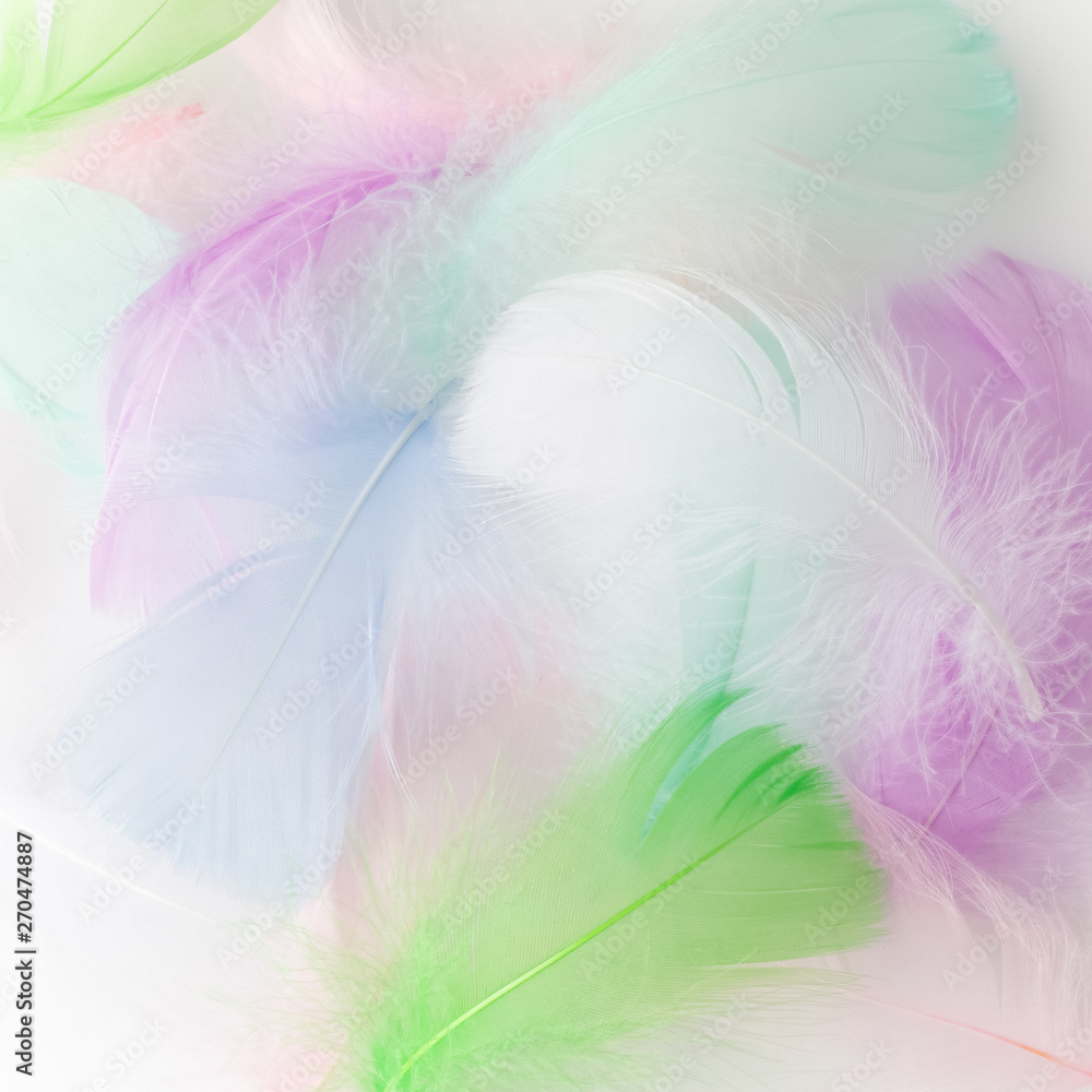 Abstract feather rainbow patchwork background. Closeup image. Fashion Color Trends. Abstract feather rainbow patchwork background. Closeup image. Fashion Color Trends.