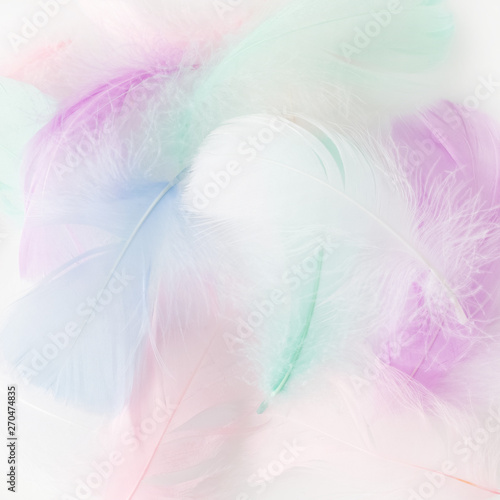 Abstract feather rainbow patchwork background. Closeup image. Fashion Color Trends.