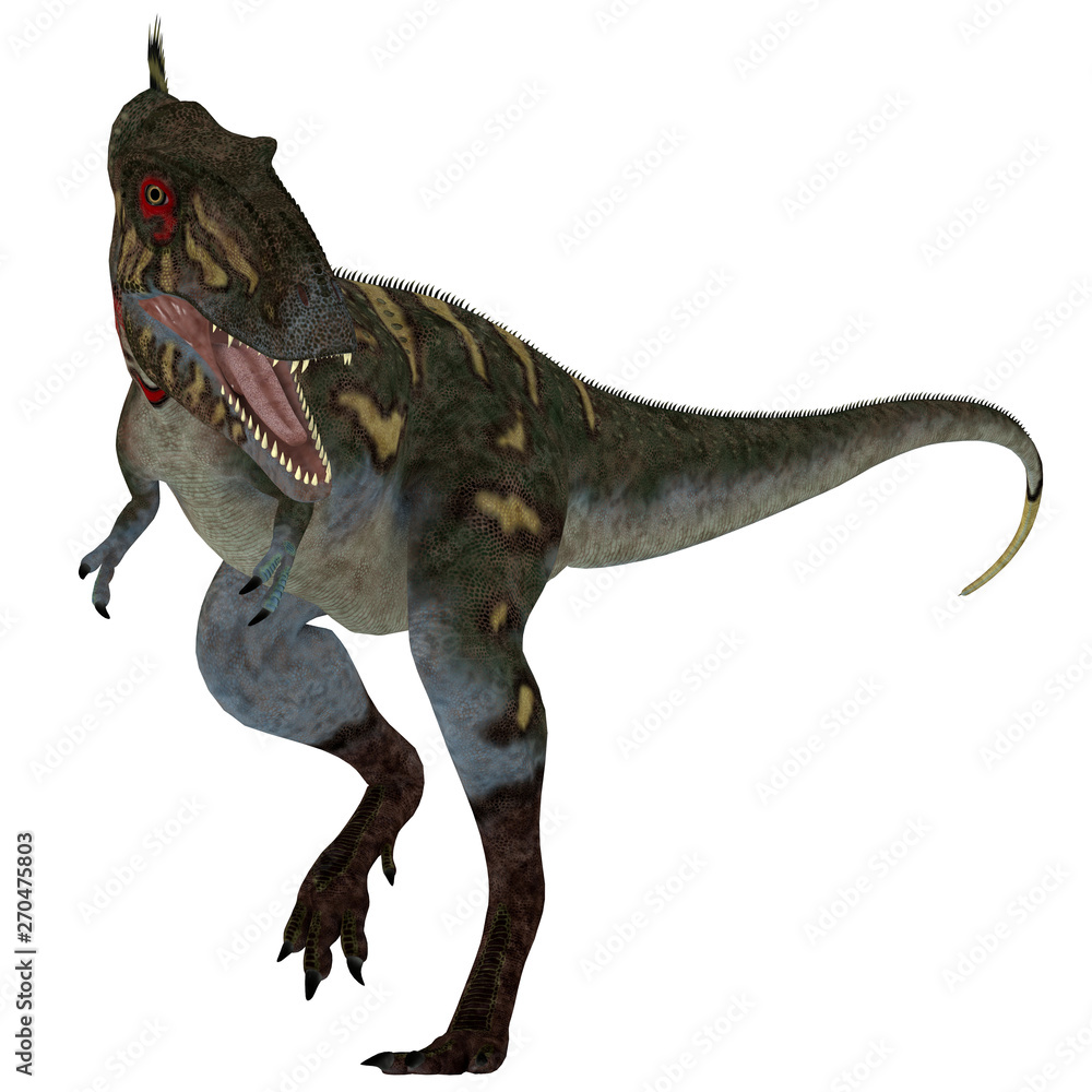 Nanotyrannus Dinosaur on White - Nanotyrannus was a carnivorous theropod dinosaur that lived in North America during the Cretaceous Period. Nanotyrannus Dinosaur on White - Nanotyrannus was a carnivorous theropod dinosaur that lived in North America during the Cretaceous Period.