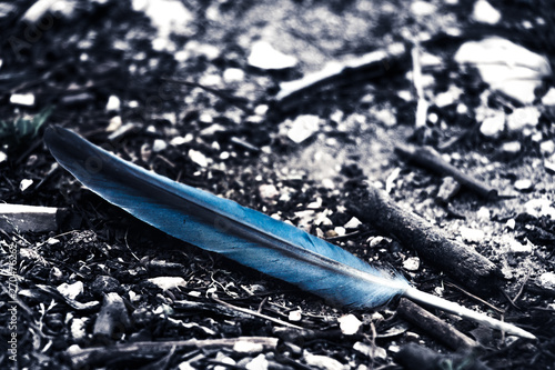 knife and fork