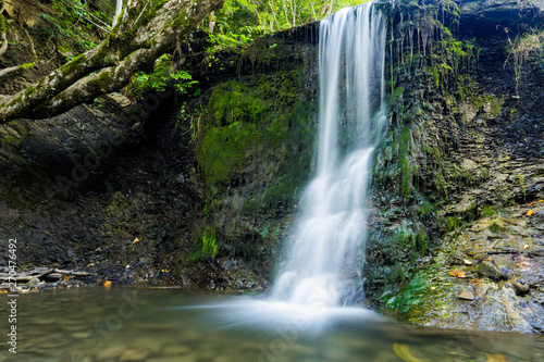 Fototapeta Naklejka Na Ścianę i Meble -  waterfall flowing on te rocks