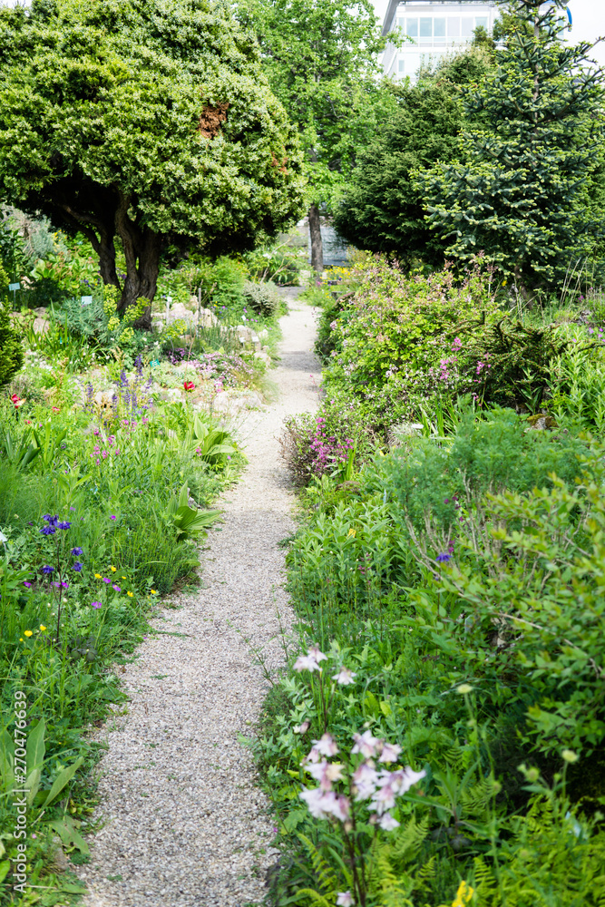 Beautiful botanical garden, natural green plants in spring Beautiful botanical garden, natural green plants in spring