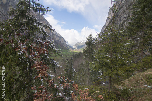 Landscape Junfrau region Berner Oberland Switzerland photo