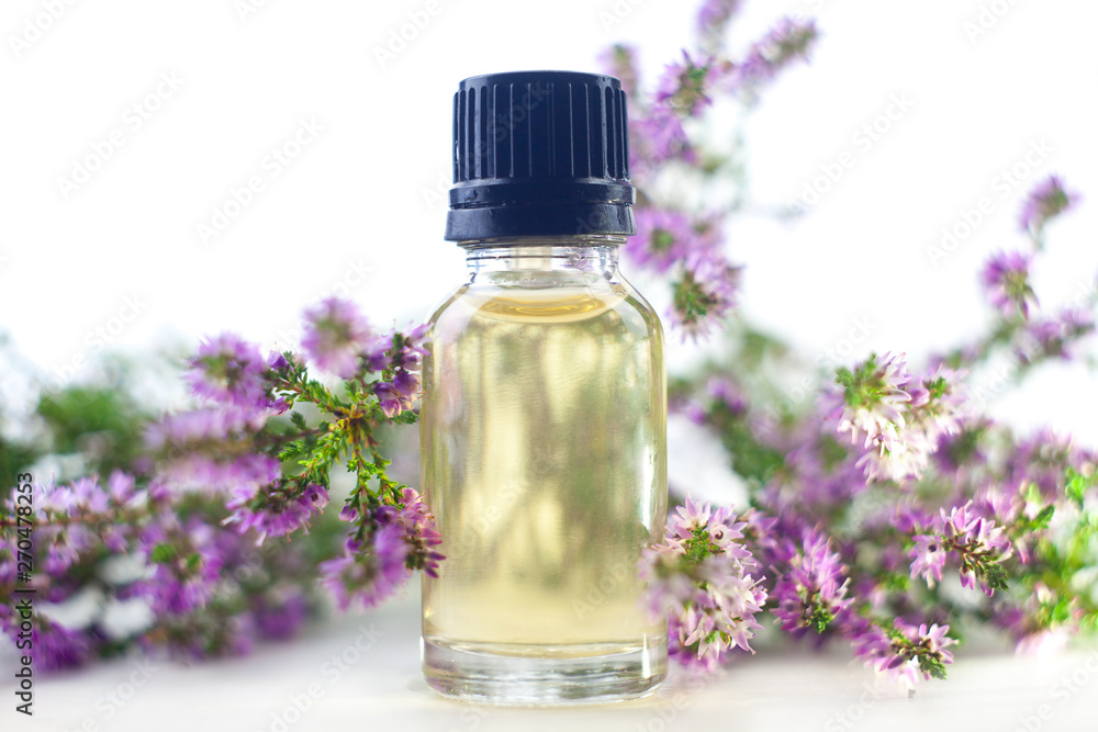 Calluna essential oil in beautiful bottle on White background Calluna essential oil in beautiful bottle on White background