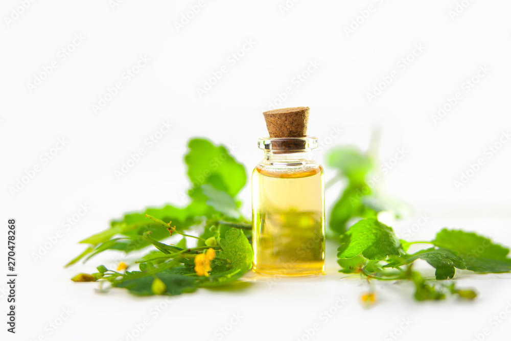 Essence of flowers on table in beautiful glass jar Essence of flowers on table in beautiful glass jar