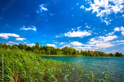 Summer daytime landscape on a lake with grassy thickets on the shore  close-up turquoise water  against the colorful coastline of green trees and a bright blue sky. Ufa  Bashkortostan  Russia