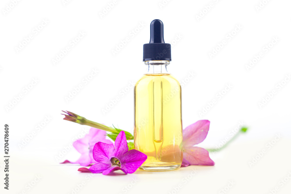 winged tobacco essential oil in beautiful bottle on White background winged tobacco essential oil in beautiful bottle on White background