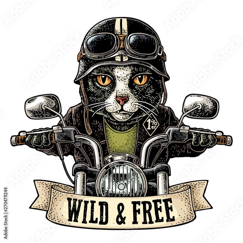 Cat driving a motorcycle rides. Vector vintage engraving
