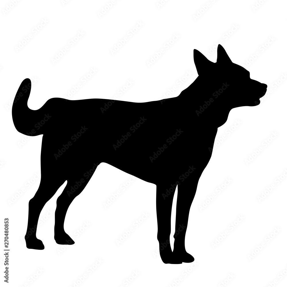 Shepherd dog silhouette on a white background
