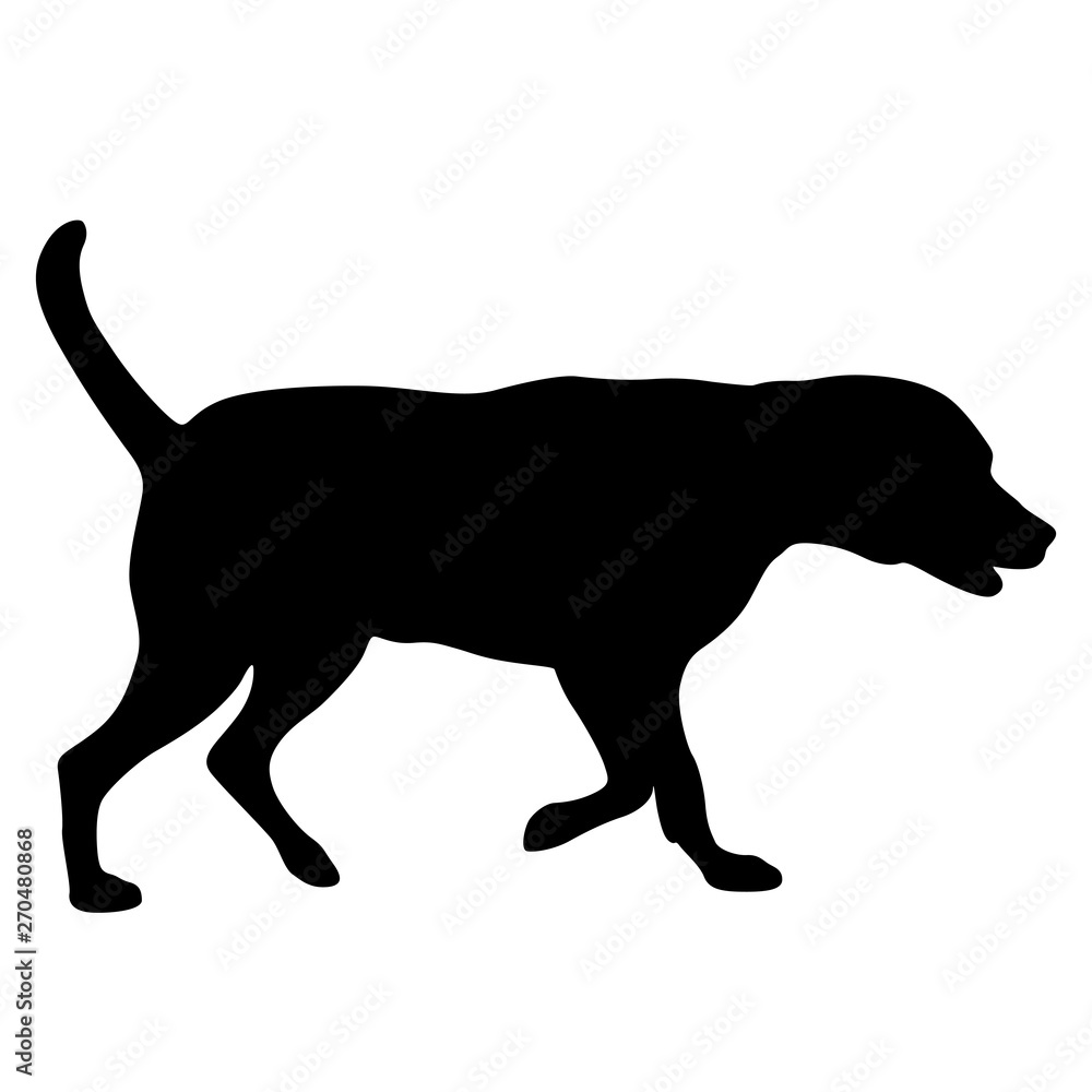 Fototapeta premium Labrador dog silhouette on a white background