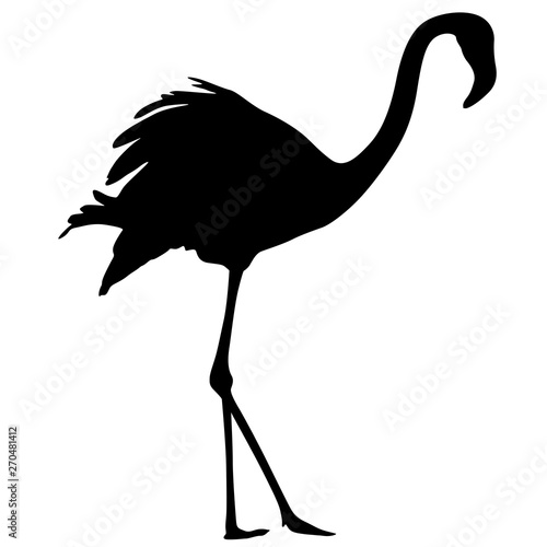 Silhouette bird flamingo on a white background