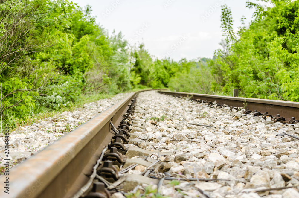 Fototapeta premium Close-up of train tracks with the forest