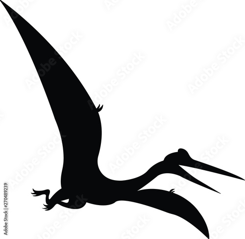 Pteranodon Pterodactyl  vector silhouette illustration isolated on white background