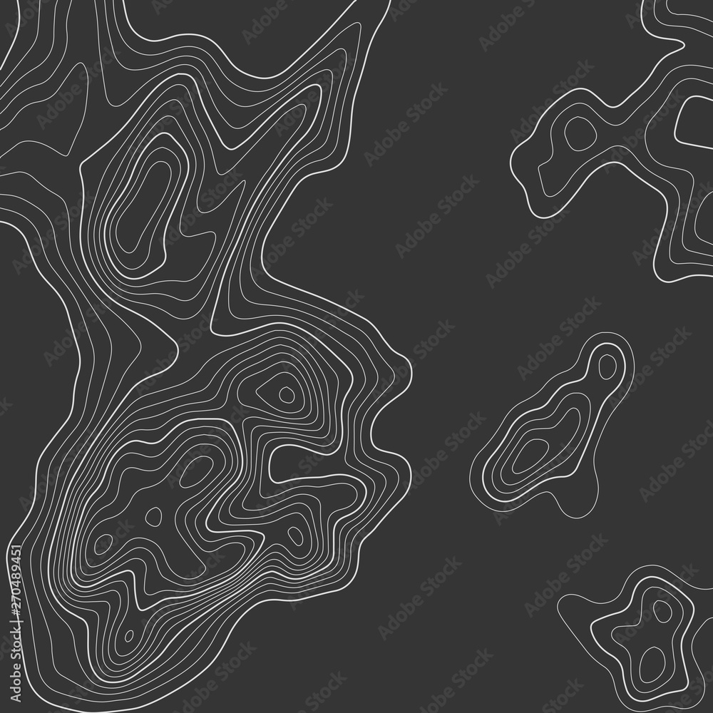 Fototapeta Topographic map lines background. Abstract vector illustration. Contour vector map.