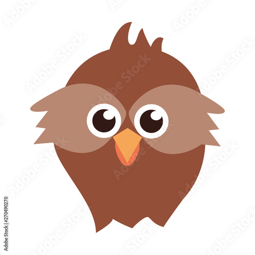 Owl head wildlife cute animal cartoon