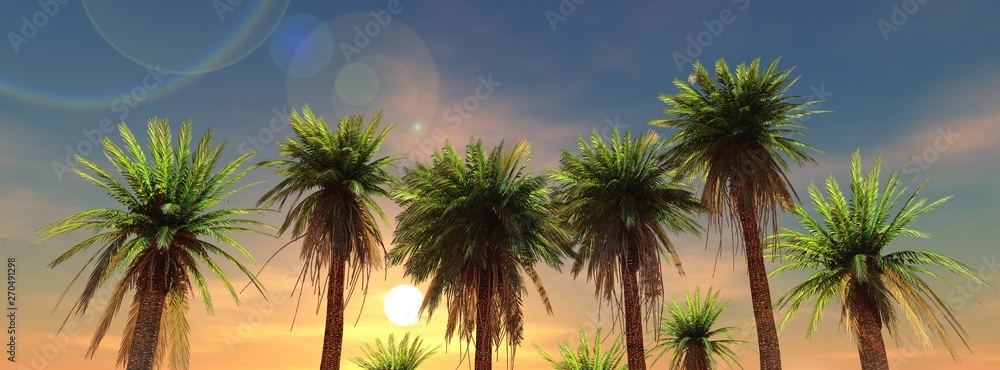 Palm trees at sunset, a row of palm trees against a blue sky with the setting sun