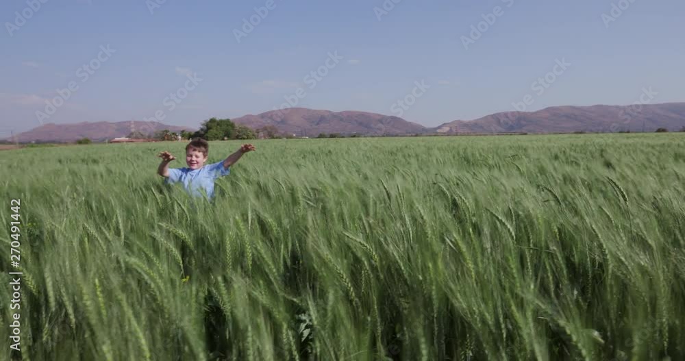 Young boy having fun running through a wheat field Young boy having fun running through a wheat field
