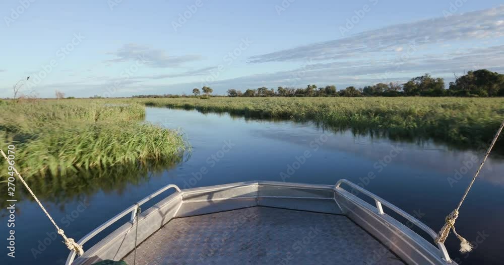 POV from tourist boat making its way down one of the many curving waterways of the Okavango Delta POV from tourist boat making its way down one of the many curving waterways of the Okavango Delta
