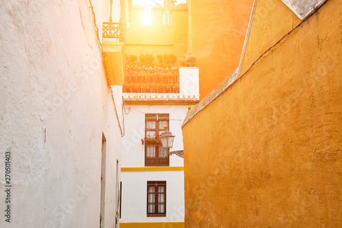 Seville streets at an early sunset in the scenic historic city center