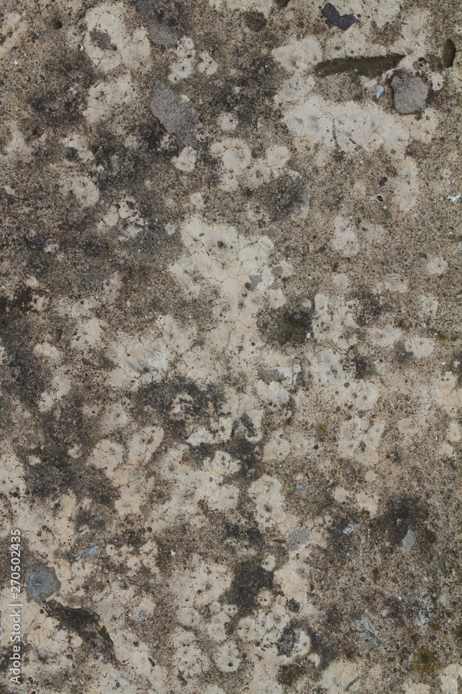 texture of stone texture of stone